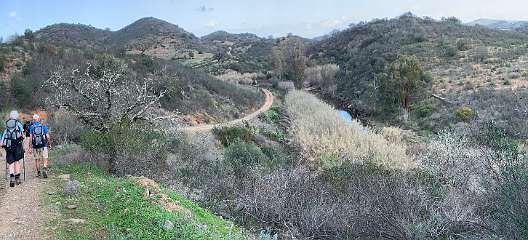 219: IMG_2358<br>  2020-02-07