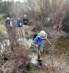 221: IMG_2360<br>  2020-02-07