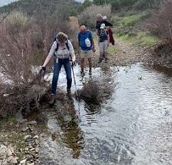 222: IMG_2361<br>  2020-02-07