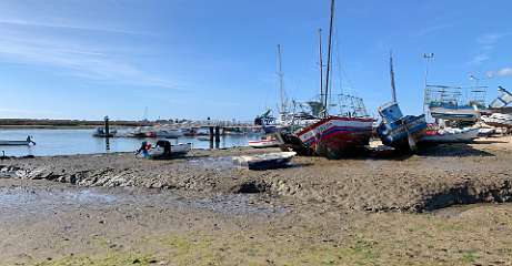 226: IMG_2370<br>  2020-02-09