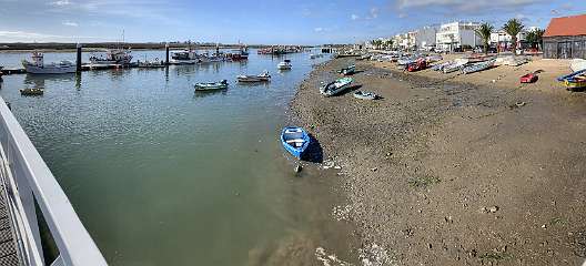 228: IMG_2372<br>  2020-02-09