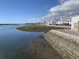 229: IMG_2373<br>  2020-02-09