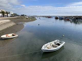 230: IMG_2374<br>  2020-02-09