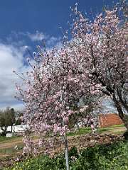 231: IMG_2376<br>  2020-02-09