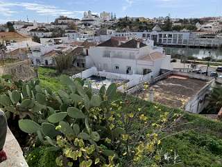 235: IMG_2386<br>  2020-02-09