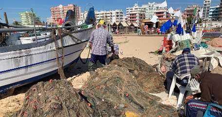 237: IMG_2388<br>  2020-02-11