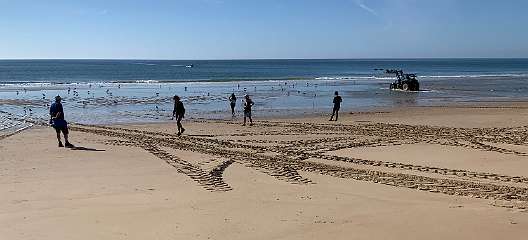 238: IMG_2390<br>  2020-02-11