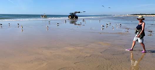 239: IMG_2391<br>  2020-02-11