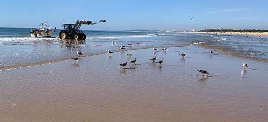 240: IMG_2392<br>  2020-02-11