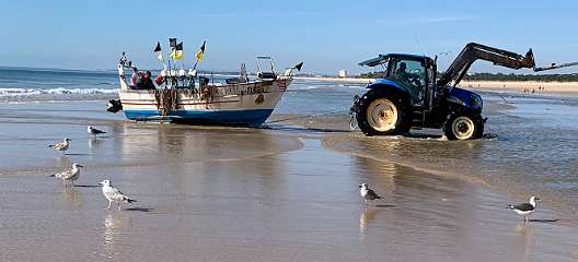 241: IMG_2393<br>  2020-02-11