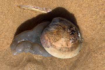 243: IMG_2396<br>  2020-02-11