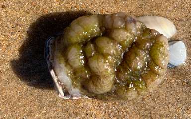 247: IMG_2402<br>  2020-02-11