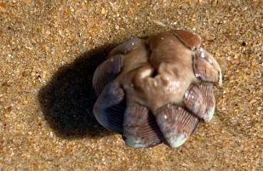 248: IMG_2403<br>  2020-02-11