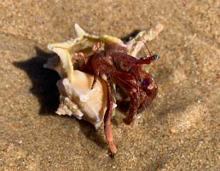 249: IMG_2407<br>  2020-02-11