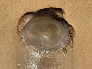 250: IMG_2408<br>  2020-02-11