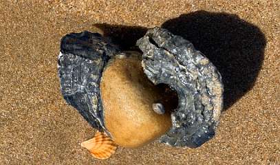 252: IMG_2410<br>  2020-02-11