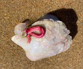 253: IMG_2411<br>  2020-02-11