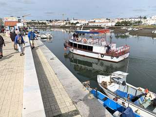 254: IMG_2420<br>  2020-02-12