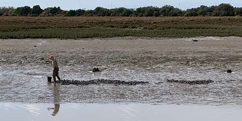 257: IMG_2427<br>  2020-02-12