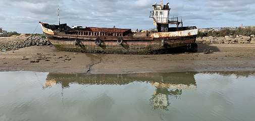 258: IMG_2429<br>  2020-02-12