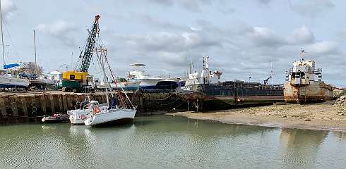 259: IMG_2430<br>  2020-02-12