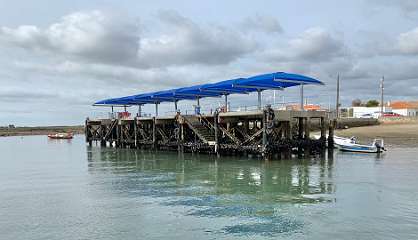 261: IMG_2433<br>  2020-02-12