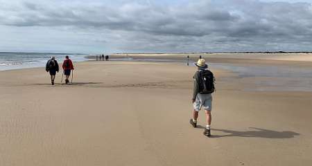 264: IMG_2437<br>  2020-02-12