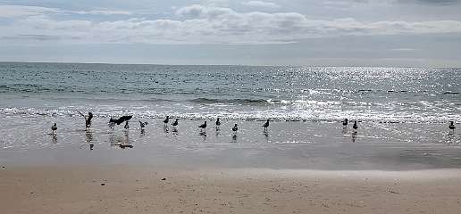 265: IMG_2439<br>  2020-02-12