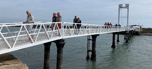 267: IMG_2442<br>  2020-02-12