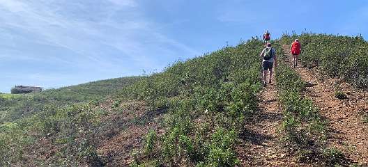 278: IMG_2461<br>  2020-02-14