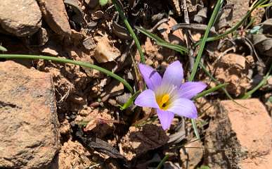 279: IMG_2462<br>  2020-02-14