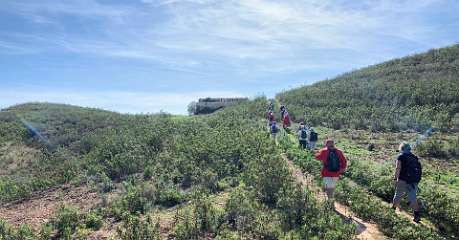 280: IMG_2463<br>  2020-02-14