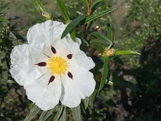 281: IMG_2465<br>  2020-02-14