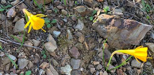 282: IMG_2466<br>  2020-02-14