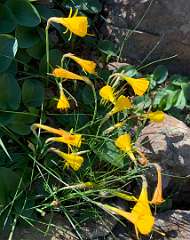 283: IMG_2468<br>  2020-02-14