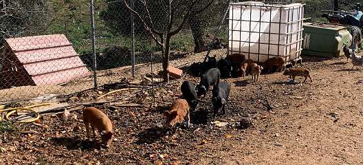 286: IMG_2475<br>  2020-02-14