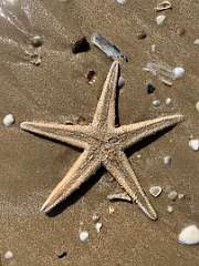 287: IMG_2476<br>  2020-02-15