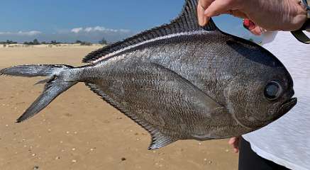 288: IMG_2480<br>  2020-02-15