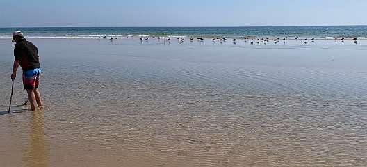 289: IMG_2481<br>  2020-02-15