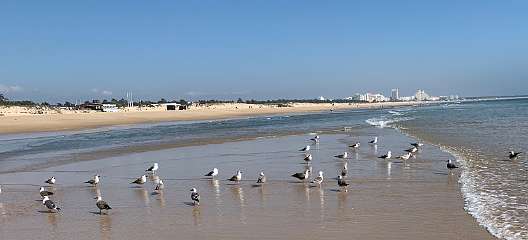 290: IMG_2490<br>  2020-02-15