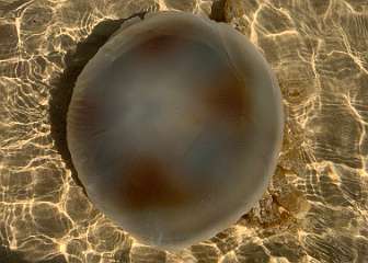 291: IMG_2491<br>  2020-02-15