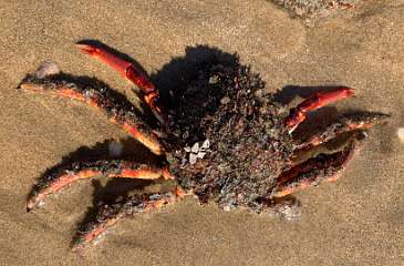 292: IMG_2497<br>  2020-02-15