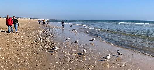 293: IMG_2498<br>  2020-02-15