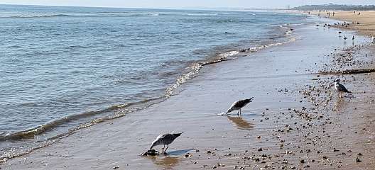 294: IMG_2501<br>  2020-02-15