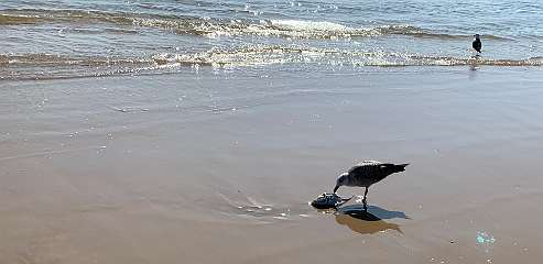 296: IMG_2507<br>  2020-02-15