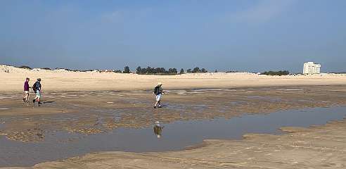 305: IMG_2533<br>  2020-02-16