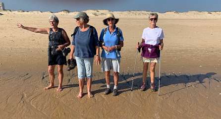 307: IMG_2535<br>  2020-02-16