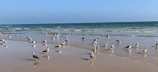 310: IMG_2539<br>  2020-02-16