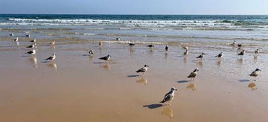 311: IMG_2540<br>  2020-02-16