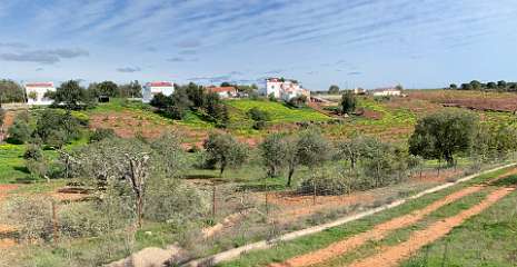 312: IMG_2541<br>  2020-02-17